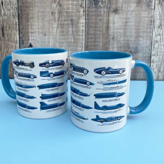 Bluebird Record Holders Mug