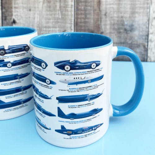 Bluebird Record Holders Mug